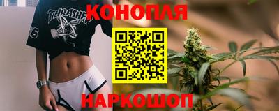 дживик Камышлов