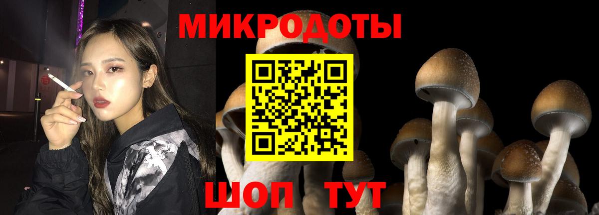 Биробиджан  Псилоцибиновые грибы мухоморы  Вход с VPN 