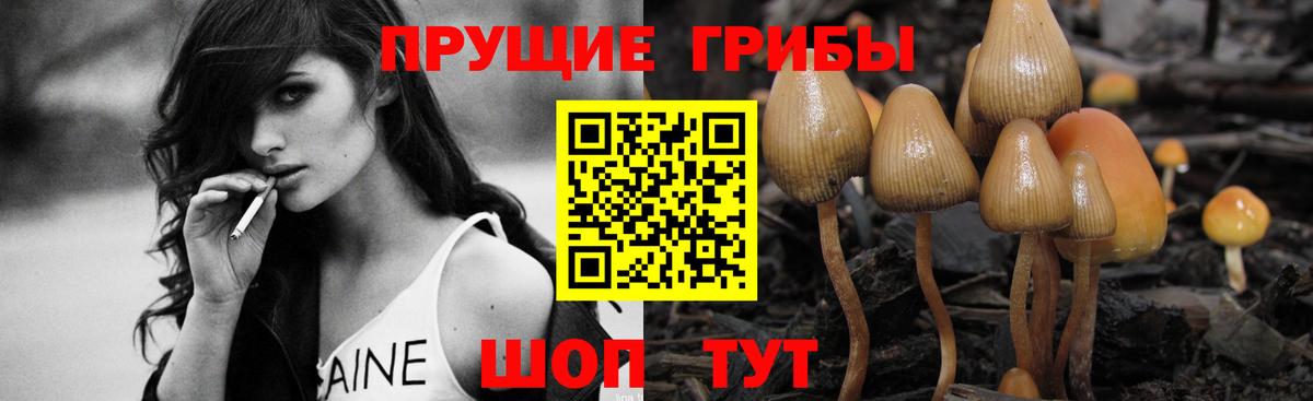 Галлюциногенные грибы мицелий Биробиджан